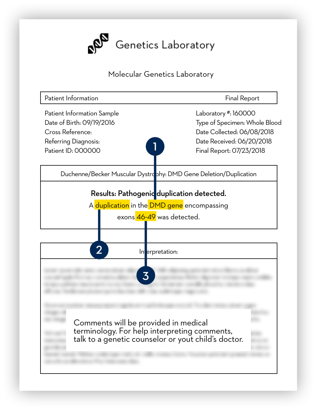 Molecular Genetics Laboratory report